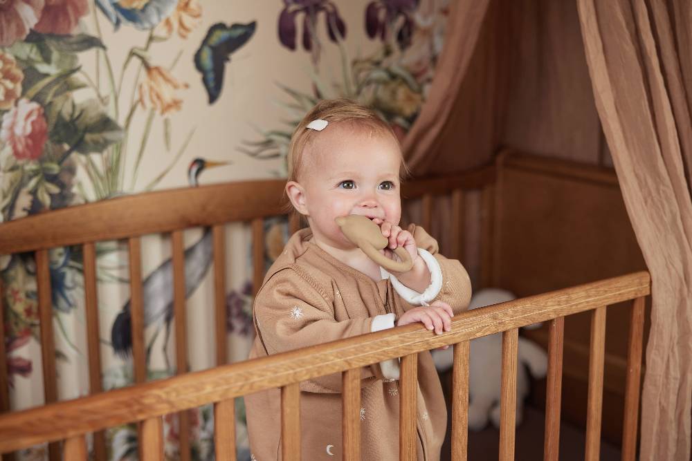 Jollein Beißring Naturkautschuk Teddy Bear Biscuit Bis zu 55% Rabatt