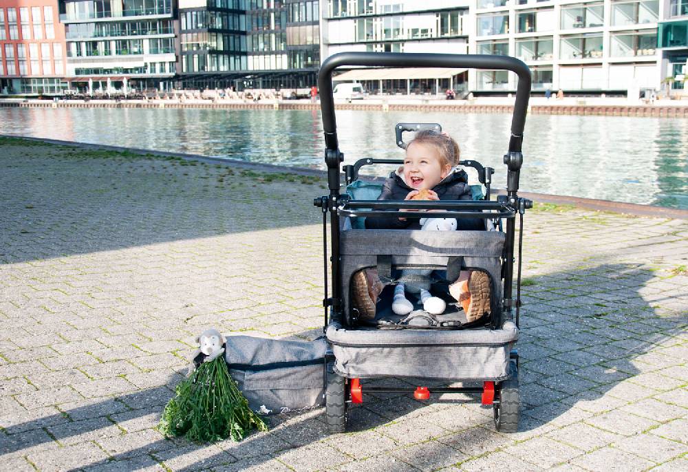 Pinolino Klappbollerwagen 'AddPlus' mit Bremse, grau meliert Outlet