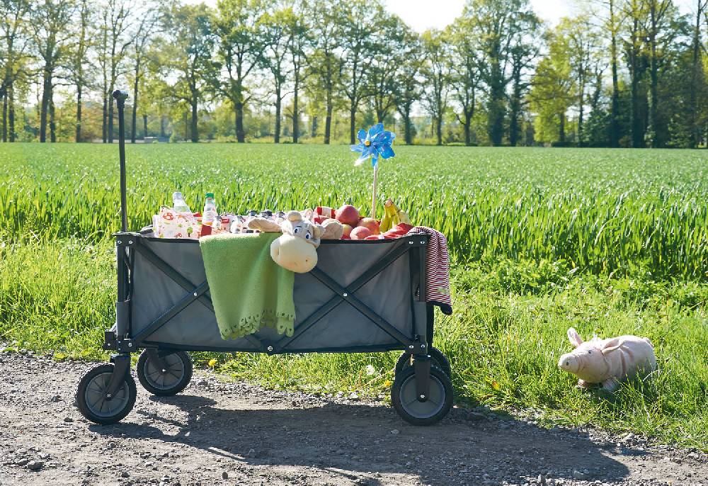 Pinolino Klappbollerwagen 'Porti', grau - Auslaufartikel Vatertagsangebot