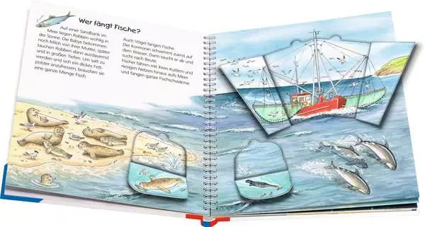 Ravensberger Matratzen Ravensburger Wieso? Weshalb? Warum? junior, Band 17: Am Meer Große Rabatte