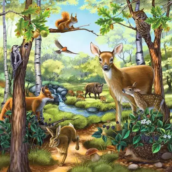 Ravensberger Matratzen Kinderpuzzle ab 5 Jahren - Wald-/Zoo-/Haustiere - 49 Teile Nur für heute