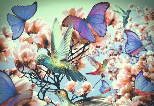 Ravensberger Matratzen Puzzle 300 Teile - Hummingbird Nur noch ein Tag übrig