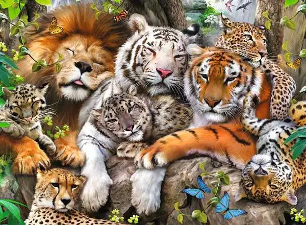 Ravensberger Matratzen Kinderpuzzle ab 8 Jahren - Schmusende Raubkatzen - 200 Teile Kostenloser Versand international