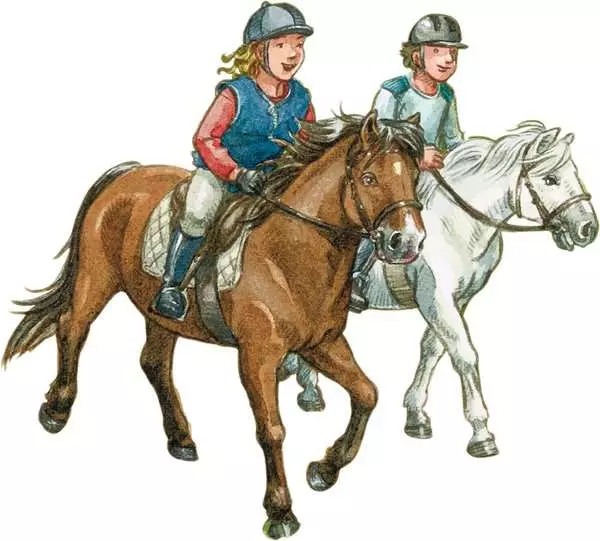Ravensberger Matratzen Kinderpuzzle ab 5 Jahren - Mein Reiterhof - 49 Teile Wochenangebot