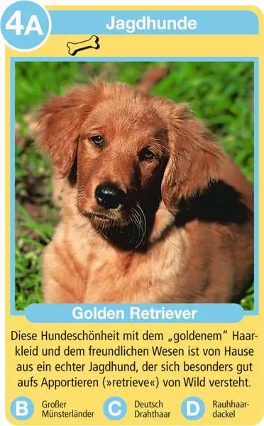 Ravensberger Matratzen Hunde - Kartenspiel ab 4 Jahren Super Rabatt