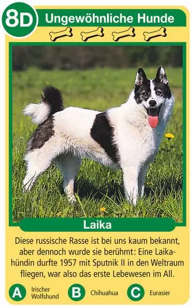 Ravensberger Matratzen Hunde - Kartenspiel ab 4 Jahren Super Rabatt