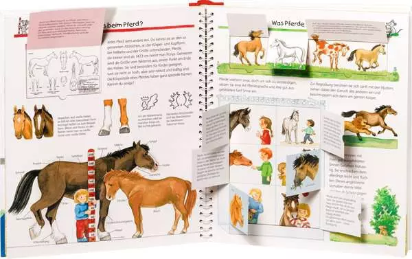 Ravensberger Matratzen Ravensburger Wieso? Weshalb? Warum?, Band 21: Alles über Pferde und Ponys Im Verkauf