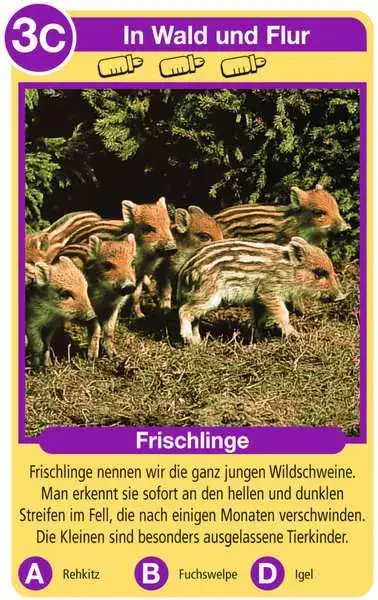 Ravensberger Matratzen Tierkinder - Kartenspiel ab 4 Jahren Weihnachtsangebot