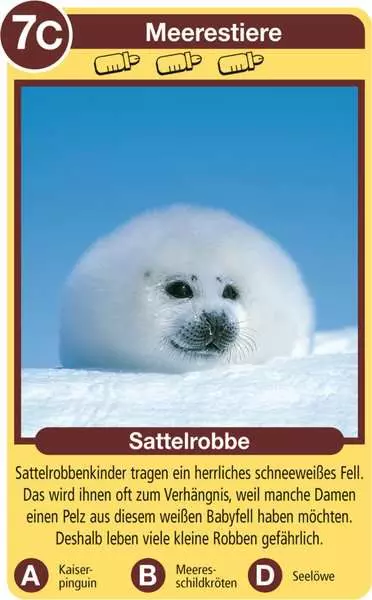 Ravensberger Matratzen Tierkinder - Kartenspiel ab 4 Jahren Weihnachtsangebot