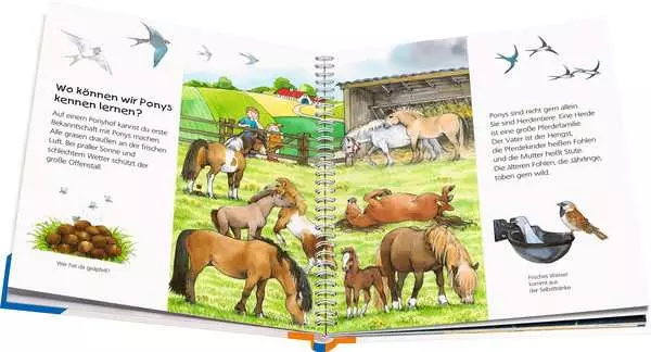 Ravensberger Matratzen Ravensburger Wieso? Weshalb? Warum? junior, Band 20: Das Pony Speichern exportieren