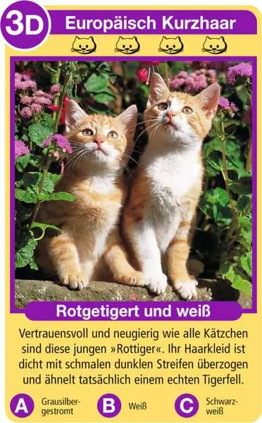 Ravensberger Matratzen Katzen - Kartenspiel ab 4 Jahren Flash Sale