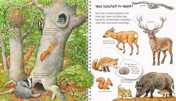 Ravensberger Matratzen Ravensburger Wieso? Weshalb? Warum? Mein junior-Lexikon: Tiere Weihnachtsangebot