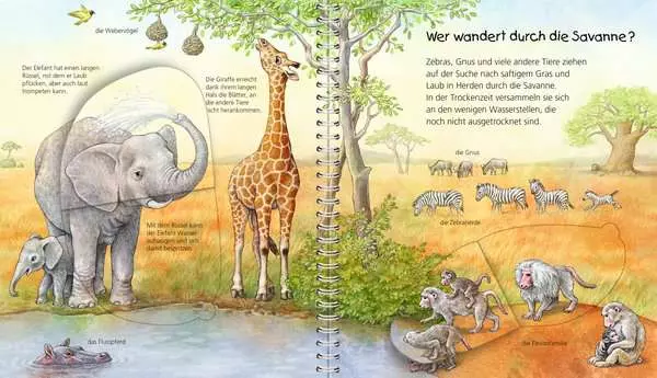 Ravensberger Matratzen Ravensburger Wieso? Weshalb? Warum? Mein junior-Lexikon: Tiere Weihnachtsangebot