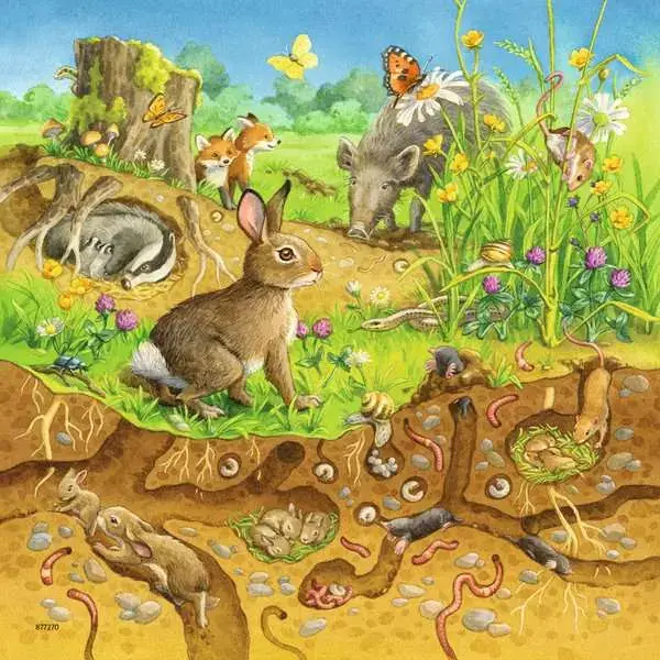 Ravensberger Matratzen Kinderpuzzle ab 5 Jahren - Tiere in ihren Lebensräumen - 49 Teile Speichern exportieren