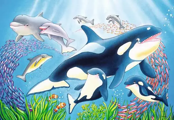 Ravensberger Matratzen Kinderpuzzle ab 4 Jahren - Kunterbunte Unterwasserwelt - 24 Teile Im Verkauf