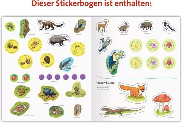 Ravensberger Matratzen Ravensburger Wieso? Weshalb? Warum? aktiv-Heft: Wald Rabatte dieses Monats