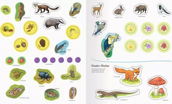 Ravensberger Matratzen Ravensburger Wieso? Weshalb? Warum? aktiv-Heft: Wald Rabatte dieses Monats