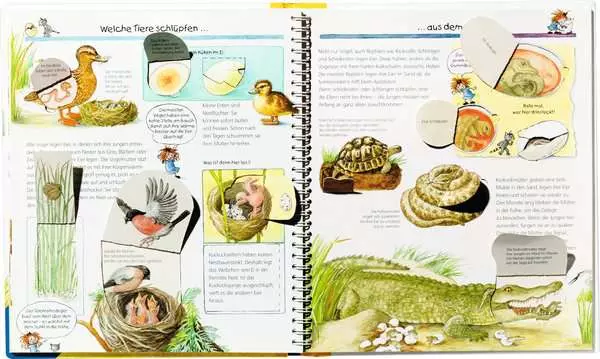 Ravensberger Matratzen Ravensburger Wieso? Weshalb? Warum?, Band 33: Tiere und ihre Kinder im Angebot