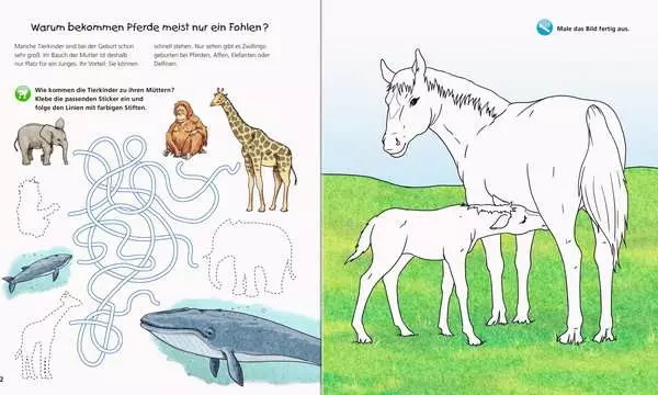 Ravensberger Matratzen Ravensburger Wieso? Weshalb? Warum? aktiv-Heft: Tierkinder Preisnachlass
