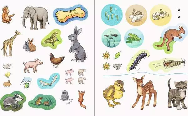 Ravensberger Matratzen Ravensburger Wieso? Weshalb? Warum? aktiv-Heft: Tierkinder Preisnachlass