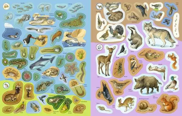 Ravensberger Matratzen Ravensburger Wieso? Weshalb? Warum? Stickerheft: Heimische Tiere Fabrik Onlineshop