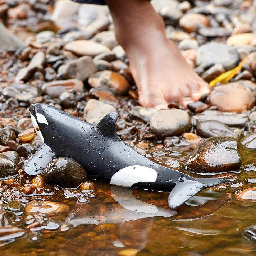Schleich Orca Letzte 2 Tage