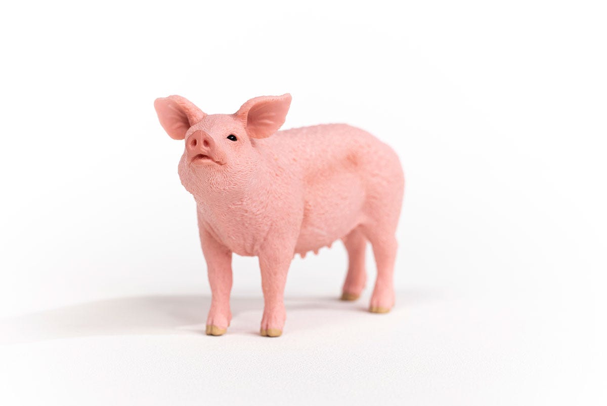 Schleich Schwein Im Verkauf