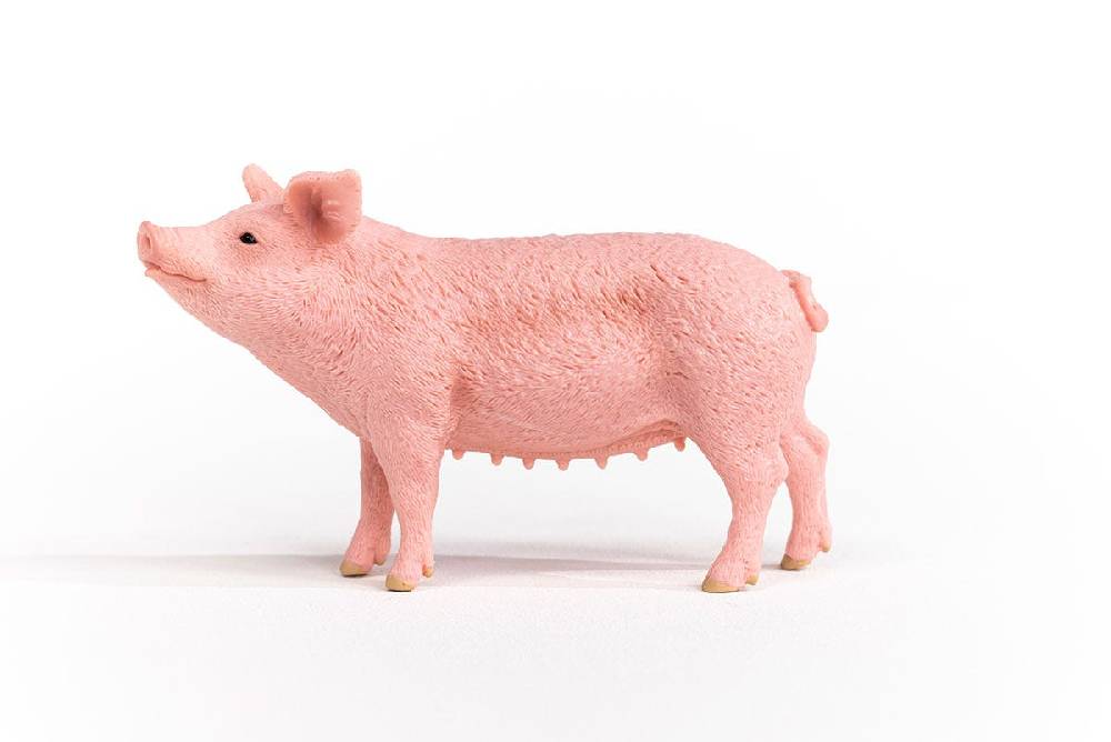 Schleich Schwein Im Verkauf