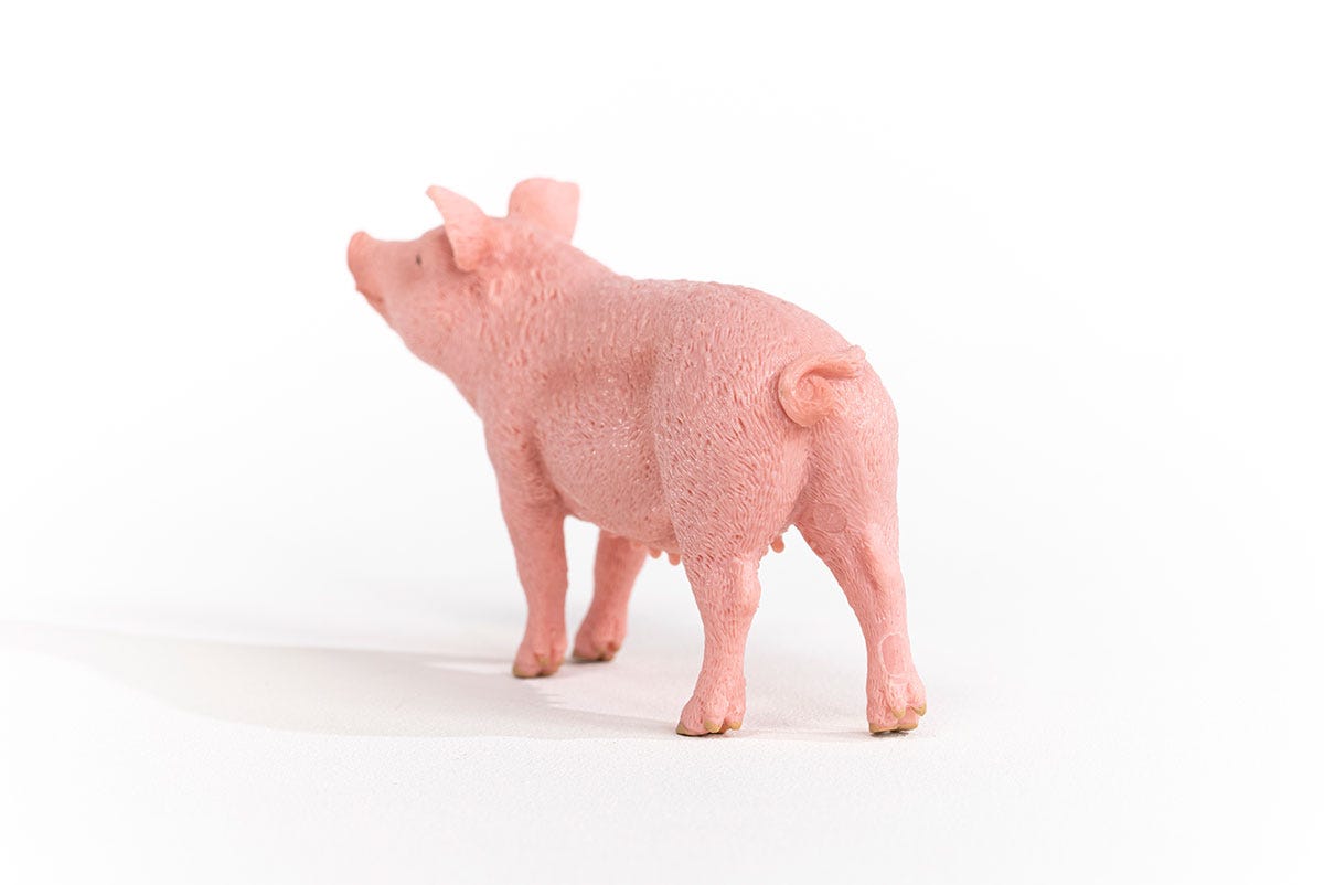 Schleich Schwein Im Verkauf