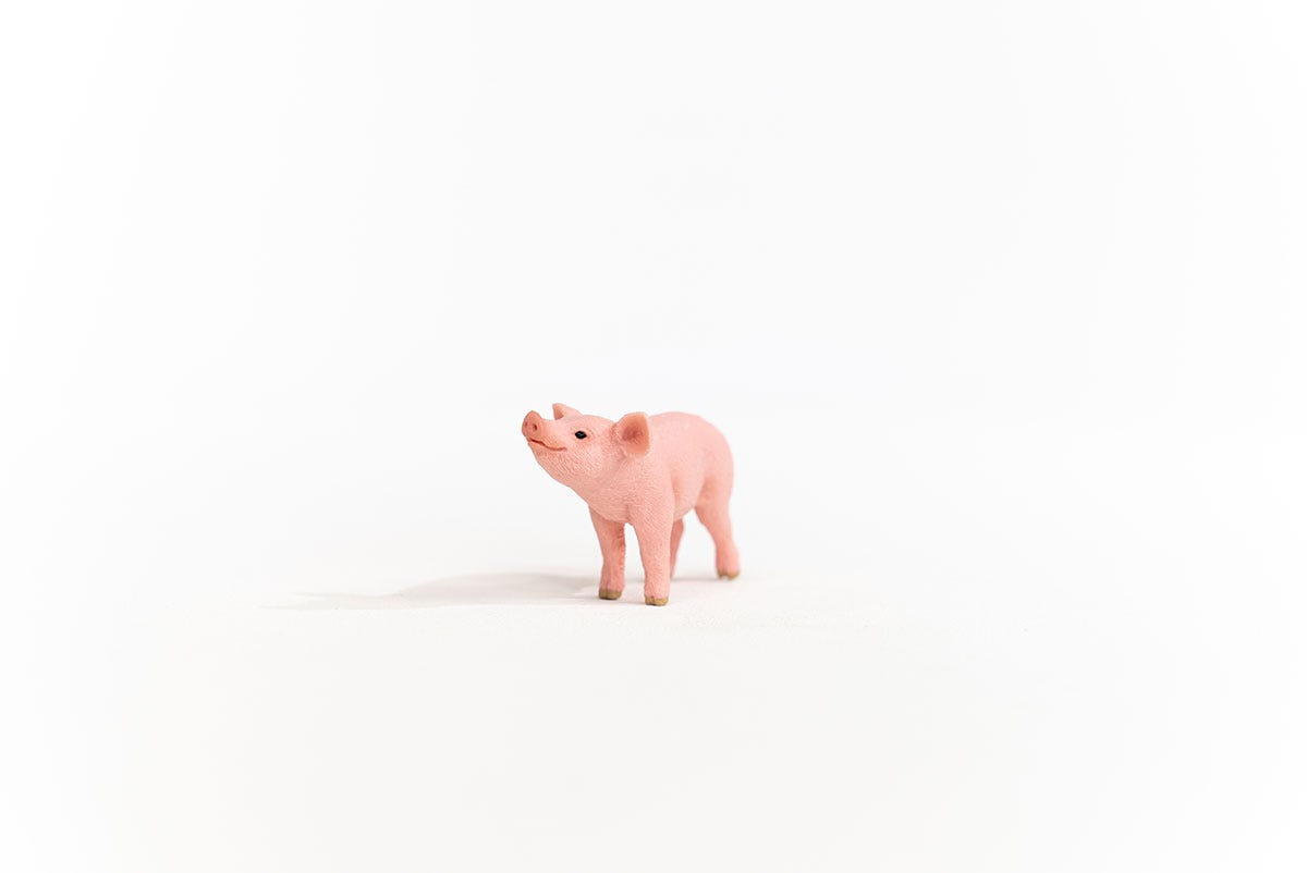 Schleich Ferkel Online