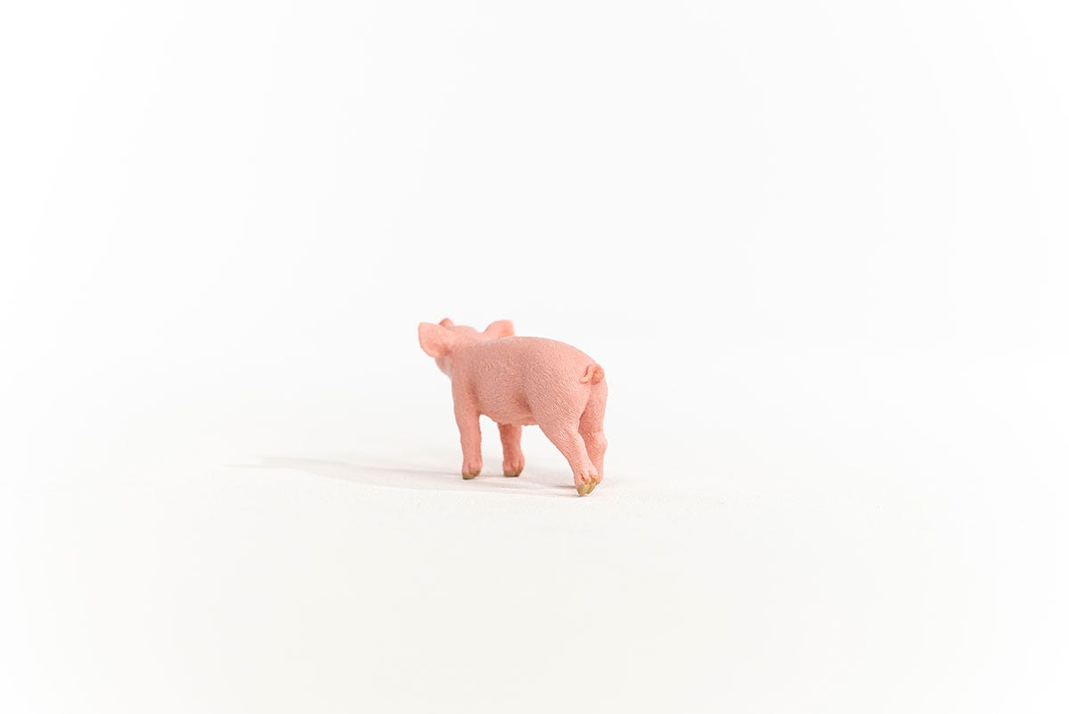 Schleich Ferkel Online