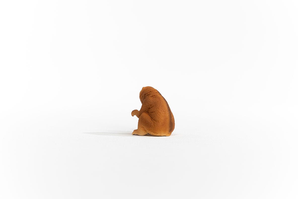 Schleich Plumplori JETZT KAUFEN