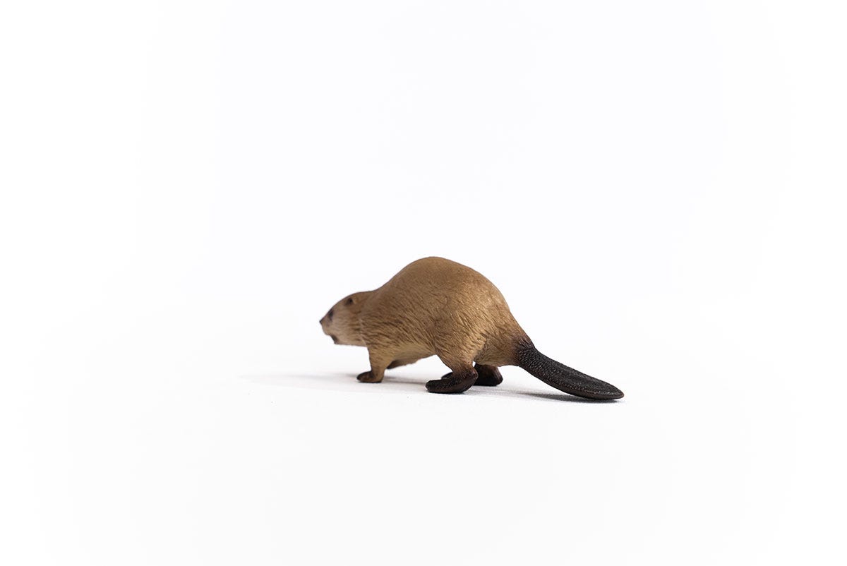Schleich Biber Letzter Tag