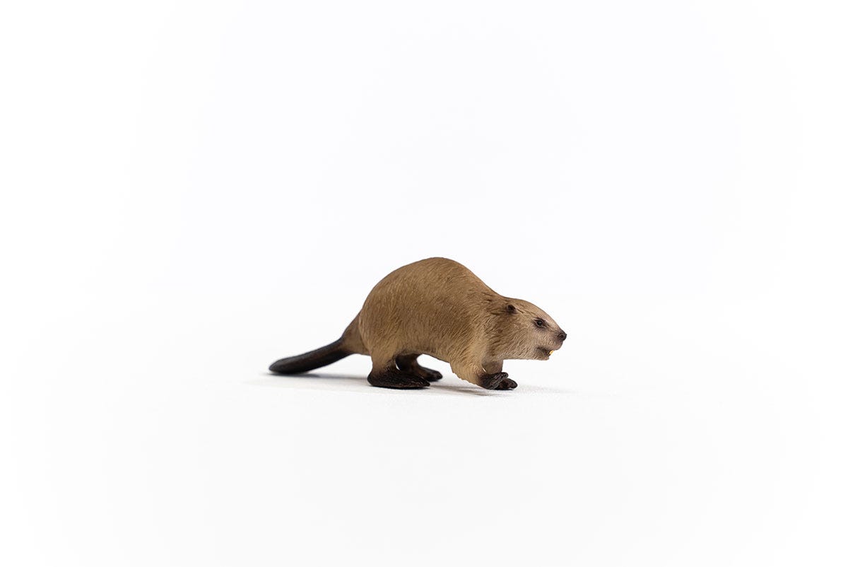 Schleich Biber Letzter Tag