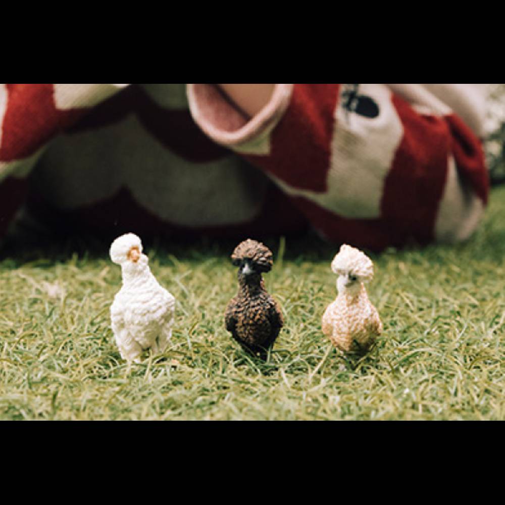 Schleich Hühnerfreunde Super Rabatt