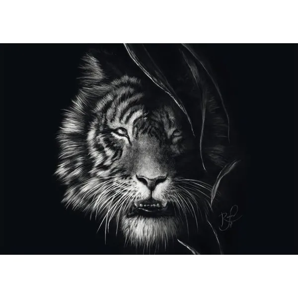Schmidt Spiele Ashley Rader: Wilderness – Tiger, Im Zeichen der Freiheit, 1.000 Teile Puzzle Black Friday Preise