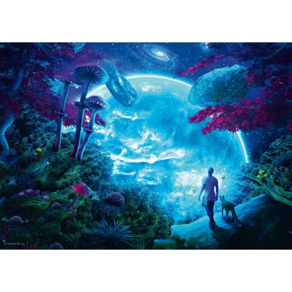 Schmidt Spiele Cameron Gray: Himmelsfantasie, 1.000 Teile Puzzle Großer Ausverkauf