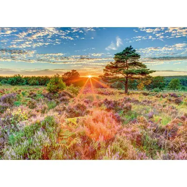 Schmidt Spiele Heide im Sonnenuntergang, 1.000 Teile Puzzle Zeitlich begrenztes Angebot