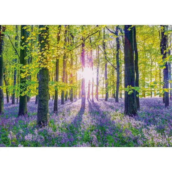 Schmidt Spiele Zarte Glockenblumen im Wald, 1.000 Teile Puzzle Exklusive Angebote