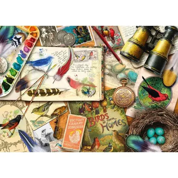 Schmidt Spiele Aimee Stewart: Aufgetischt: Vogelbeobachtung, 1.000 Teile Puzzle Lagerräumung