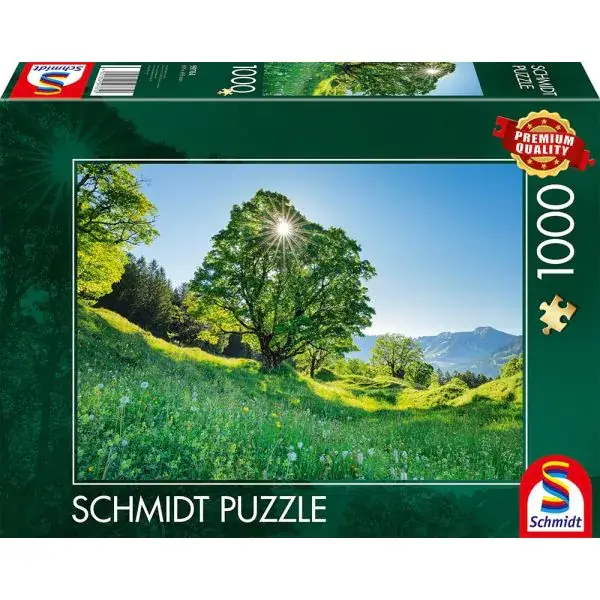 Schmidt Spiele Berg-Ahorn im Sonnenlicht – St. Gallen, Schweiz, 1.000 Teile Puzzle