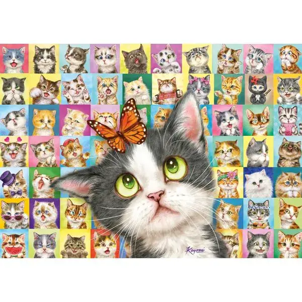 Schmidt Spiele Katzen-Mimik, 1.000 Teile Puzzle Zeitlich begrenztes Angebot