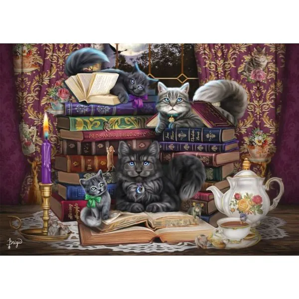 Schmidt Spiele Brigid Ashwood: Märchenstunde mit Katzen, 1.000 Teile Puzzle Bis zu 55% Rabatt