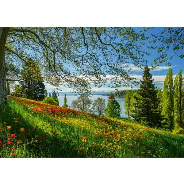 Schmidt Spiele Frühlingsallee zur Tulpenblüte, Insel Mainau, 1.000 Teile Puzzle Rabatt