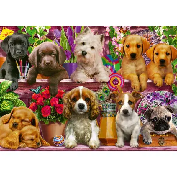 Schmidt Spiele Hunde im Regal, 500 Teile Puzzle Weihnachtsangebot