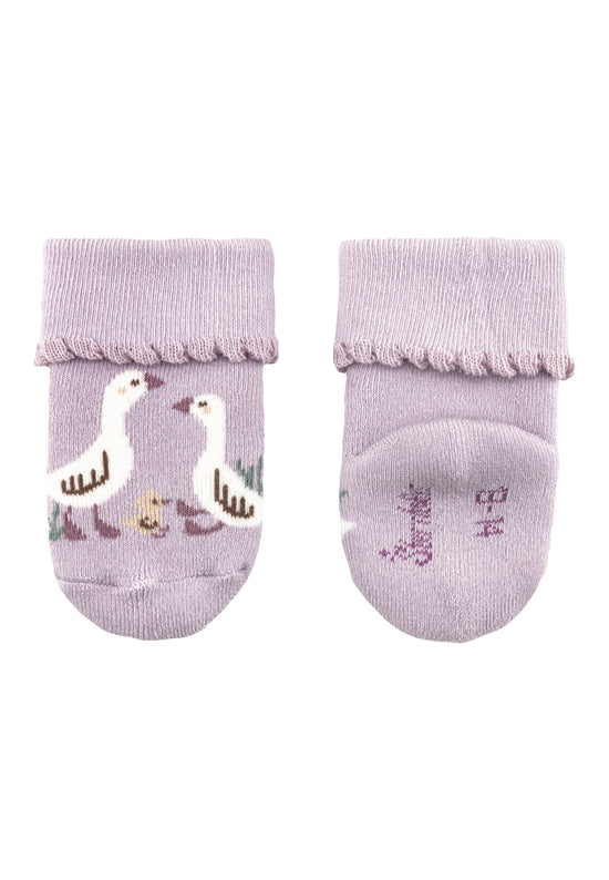 Sterntaler Babys Socken 3er Set aus Baumwoll-Mischgewebe Fabrikpreis