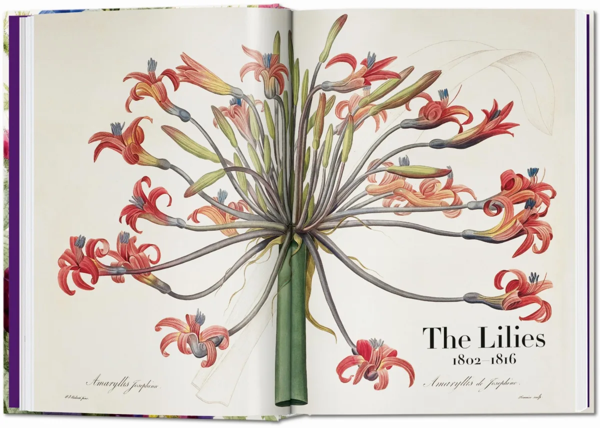 TASCHEN Redouté. The Book of Flowers. 40th Ed Clearance-Verkauf