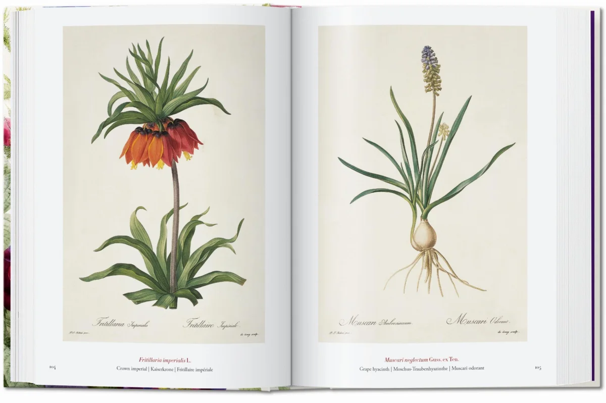 TASCHEN Redouté. The Book of Flowers. 40th Ed Clearance-Verkauf
