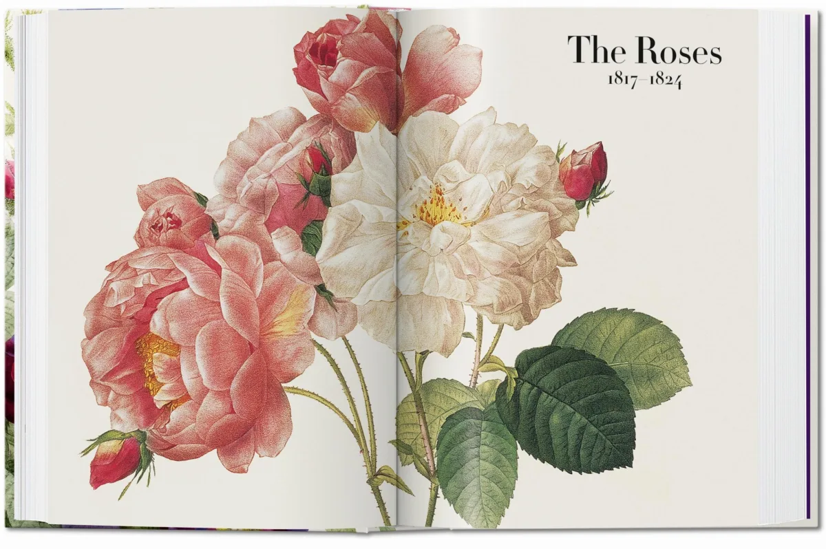 TASCHEN Redouté. The Book of Flowers. 40th Ed Clearance-Verkauf
