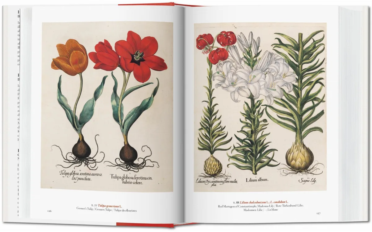 TASCHEN A Garden Eden. Masterpieces of Botanical Illustration. 40th Ed Im Verkauf